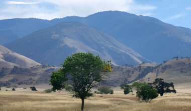 Become a Tejon Ranch Conservancy Member in September
