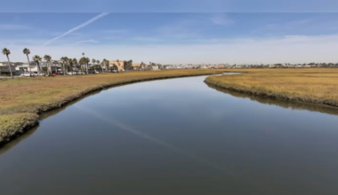 CDC and County of San Diego begin second Tijuana River health survey – NBC 7 San Diego