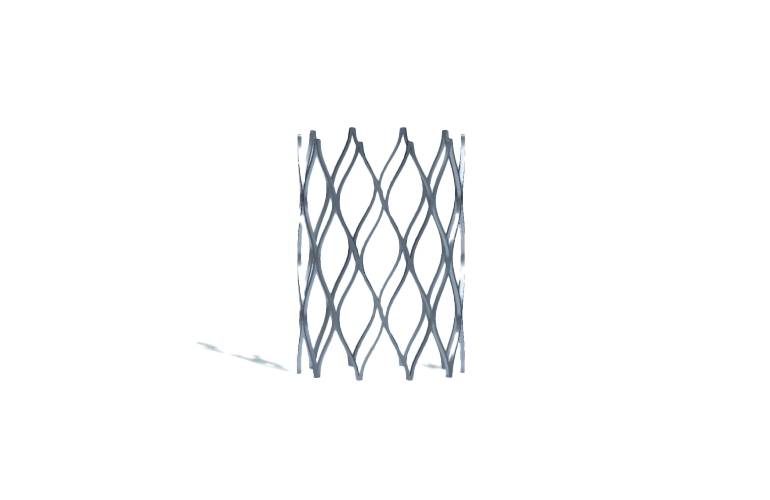 Miller Children’s & Women’s Hospital performs first Minima Stent procedure for infants with congenital heart conditions • Brand stories