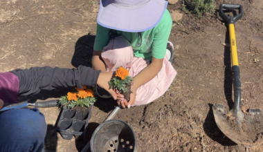 Kids plant "Heroes' Garden" at Islamic Center to honor 3 shooting victims