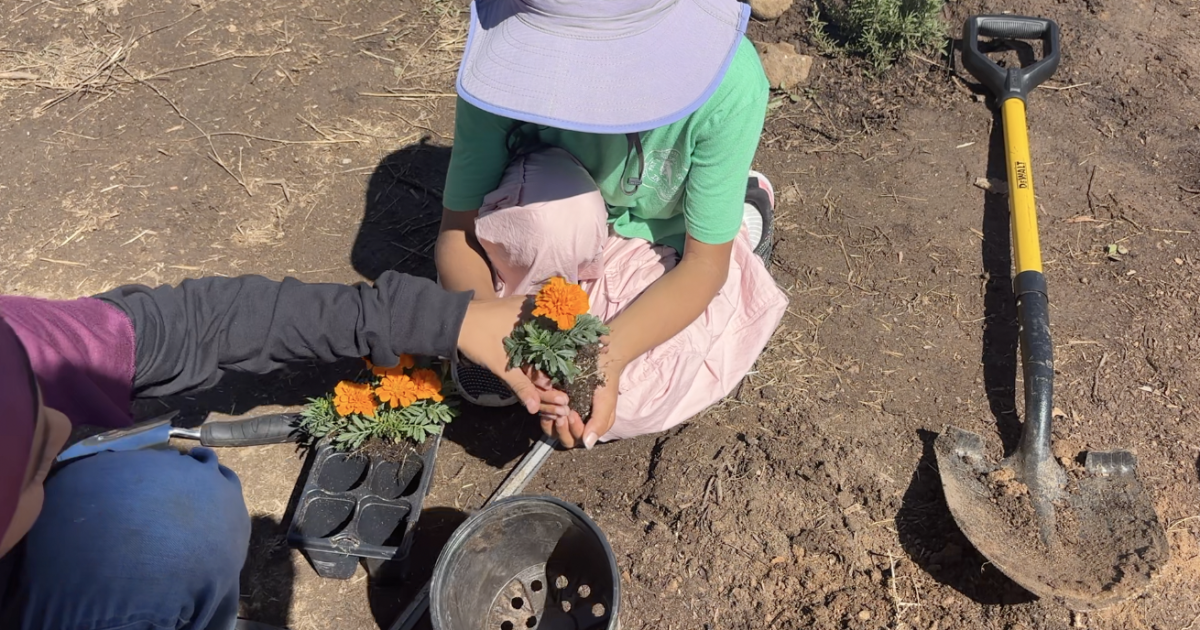 Kids plant "Heroes' Garden" at Islamic Center to honor 3 shooting victims