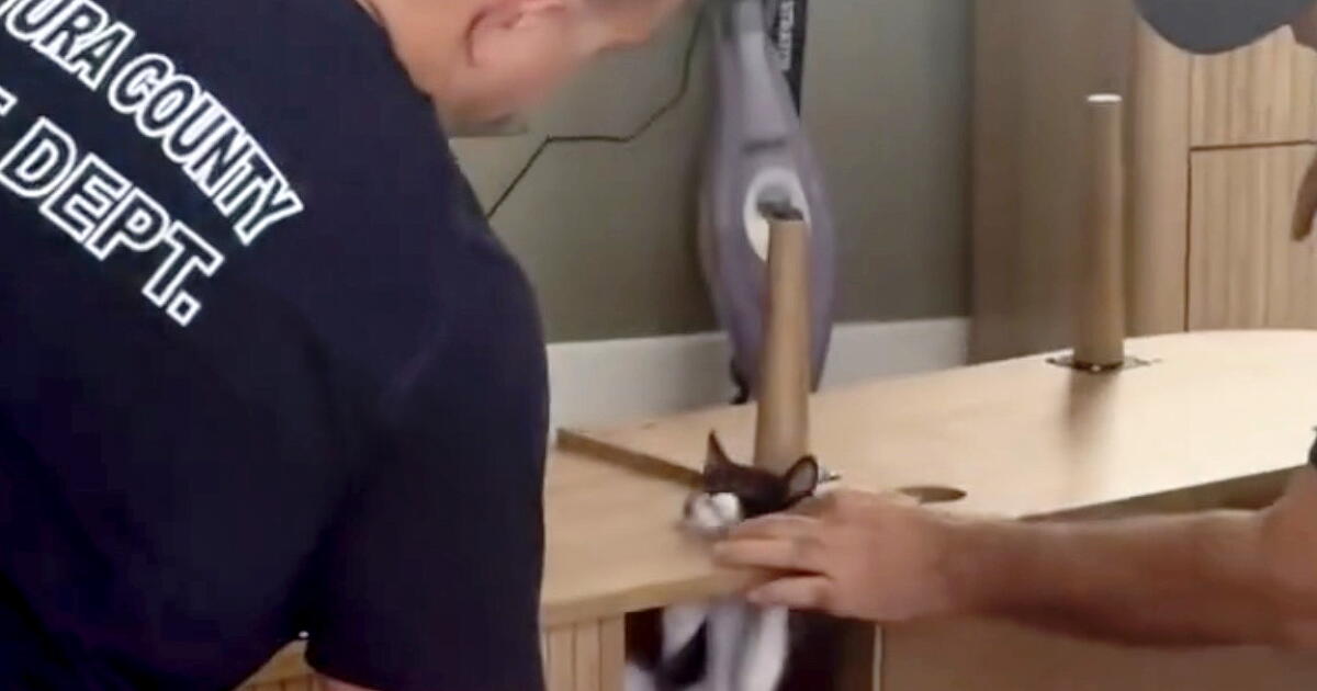 California firefighters, a trapped kitten and 'aww' from the internet