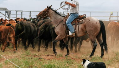 Colorado ranchers speak out in major Supreme Court climate case