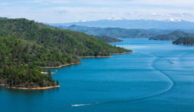 Dog leaps into Shasta Lake and man jumps in to save it. Dog survives, but the man does not