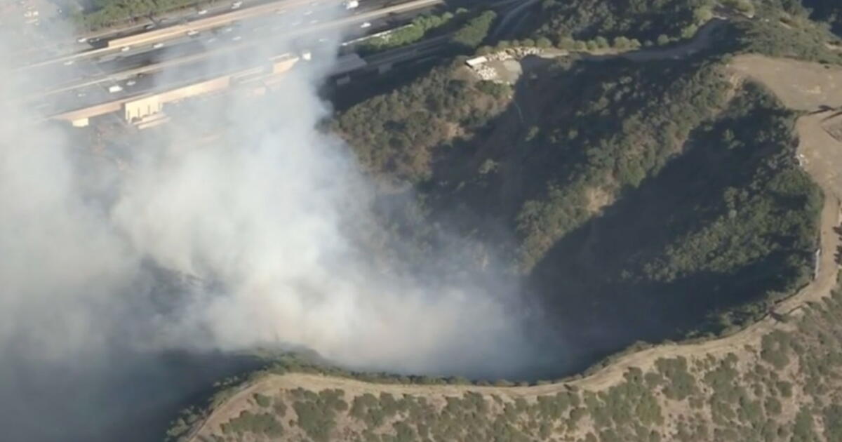 Brush fire off 405 threatens homes and Getty Center