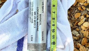 'Bomb-like' marine marker among unusual items that El Niño has washed onto California's shores