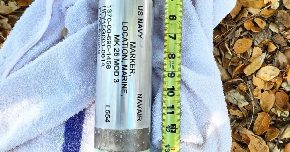 'Bomb-like' marine marker among unusual items that El Niño has washed onto California's shores