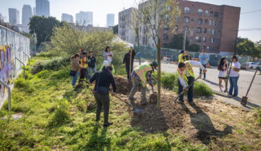 One L.A. school trades asphalt for trees and grass