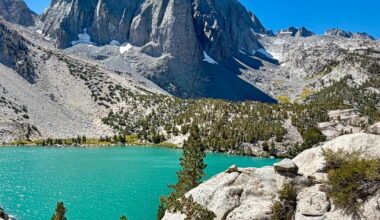 California has the antidote for the bad news blues
