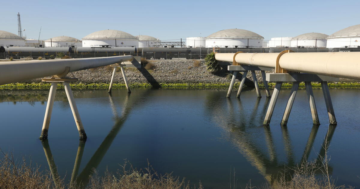 Young girl among two bodies found in Dominguez Channel, probe says
