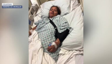 Hit-and-run driver sought after elote vendor struck on Niles Street