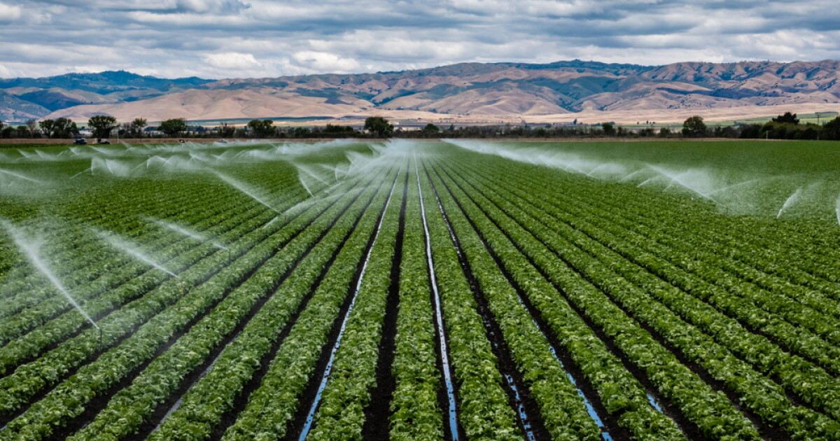 Farms turn to agritourism to boost revenue and build community