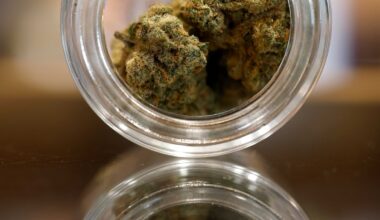 San Diego County Supervisors approve cannabis policy – NBC 7 San Diego