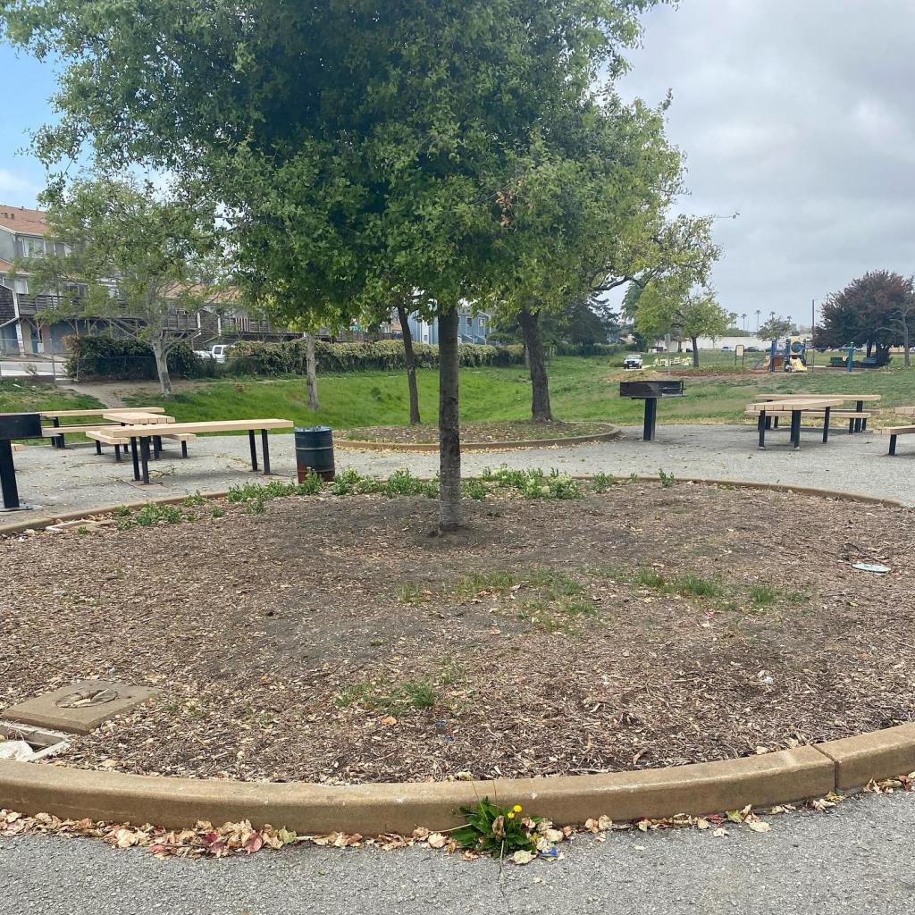 Park with picnic tables and grills, surrounded by trees and residential buildings.