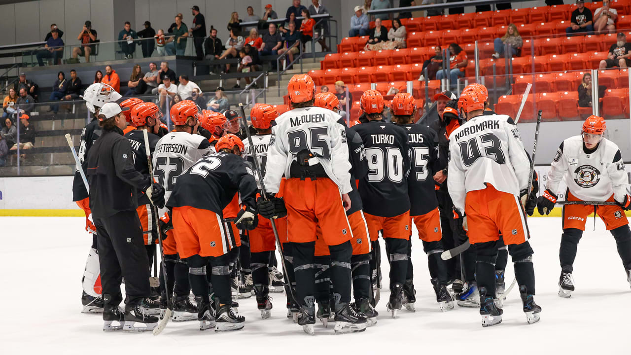 Ducks Make 2026 Training Camp Moves