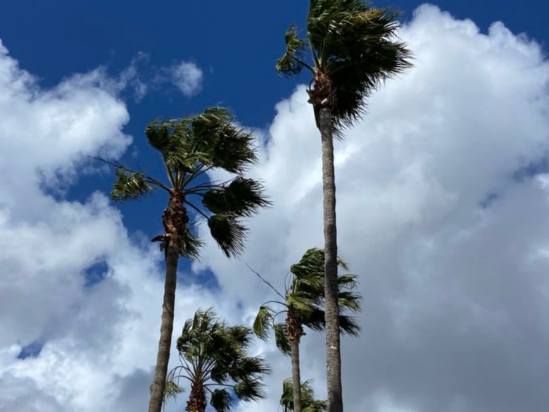 High wind advisory
