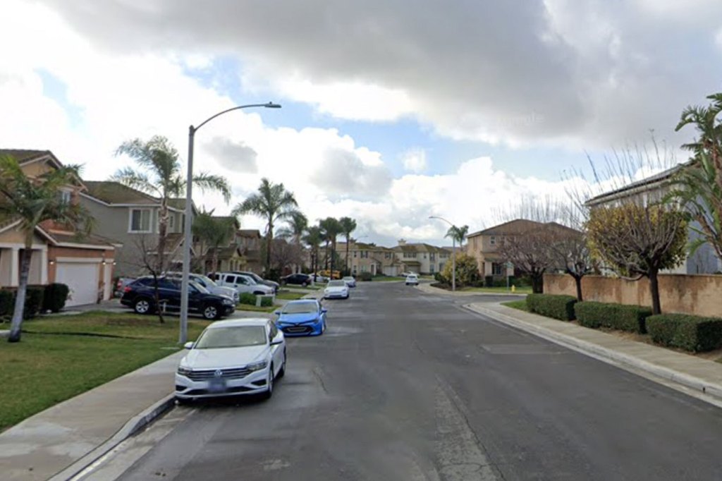 Street view of a suburban neighborhood with parked cars along the road, houses, and palm trees under a cloudy sky.