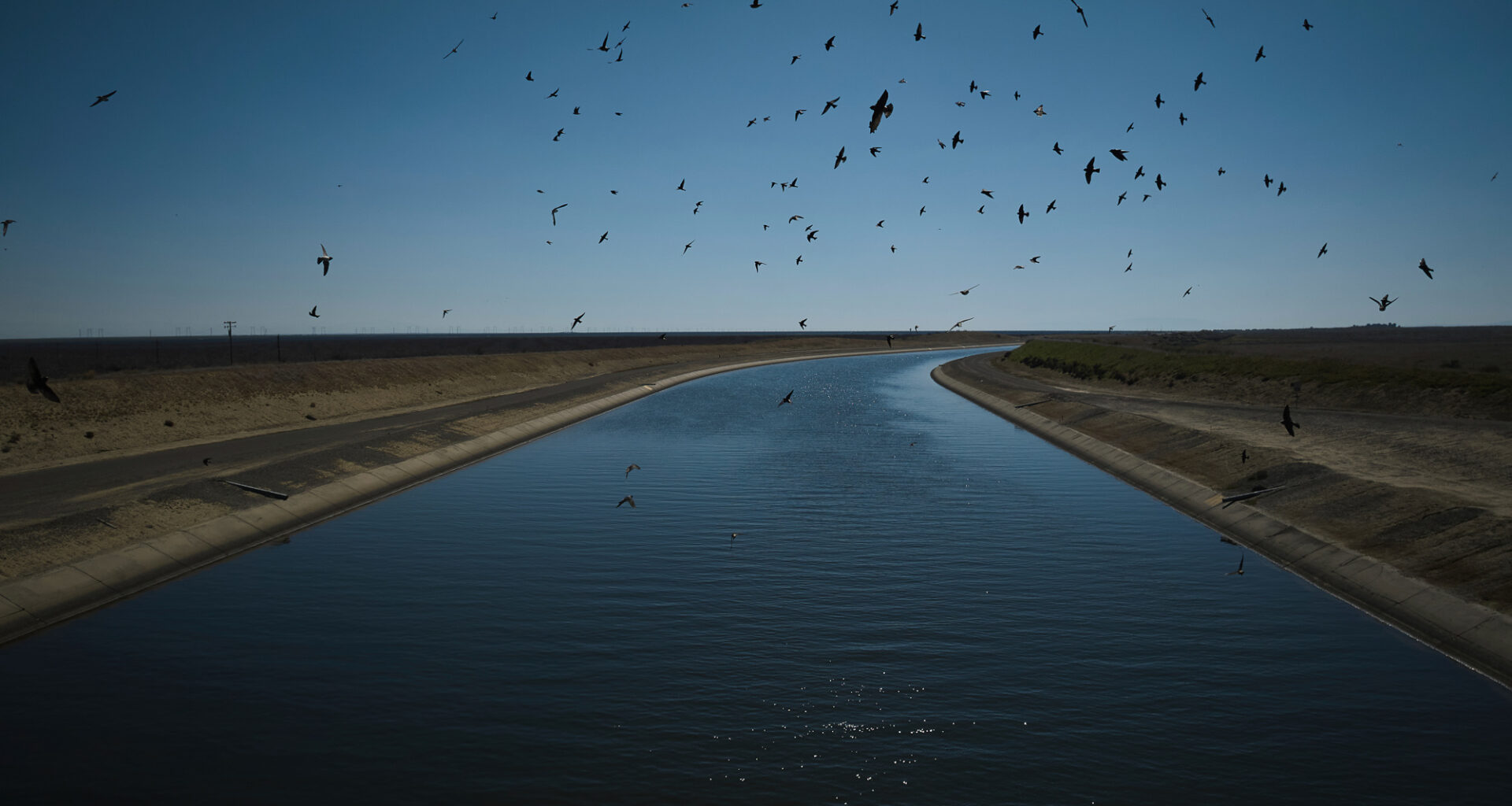 What would CA governor candidates Hilton and Becerra do about water?