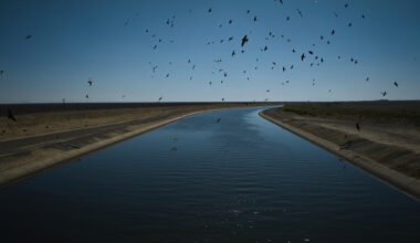 What would CA governor candidates Hilton and Becerra do about water?