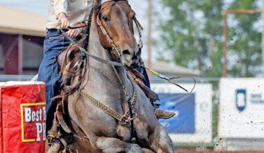 Running down a dream: Long Beach Peninsula barrel racer’s remarkable rookie run reaches finish line