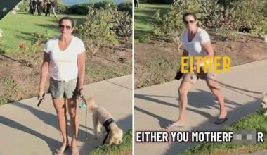Laguna Beach 'Karen' hijacks California couple's romantic engagement