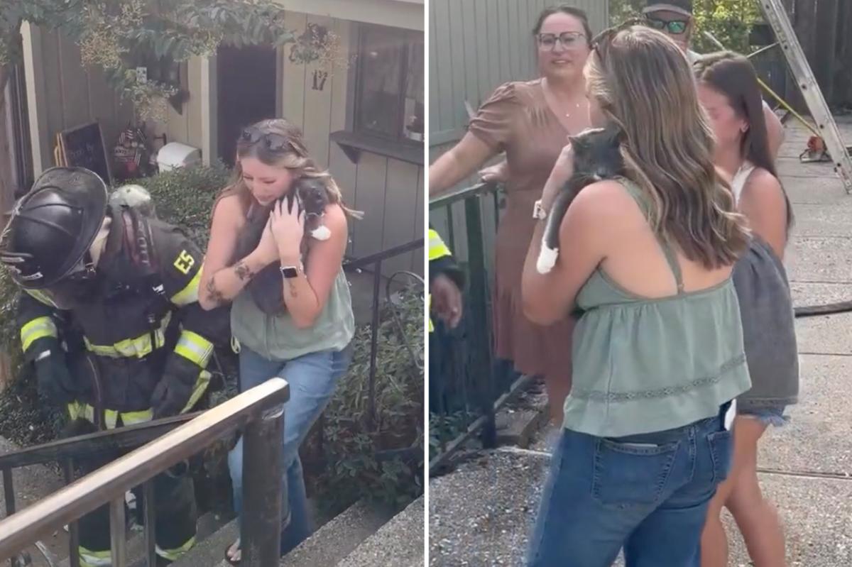 California firefighters rescue cat from blaze and reunite it with tearful family