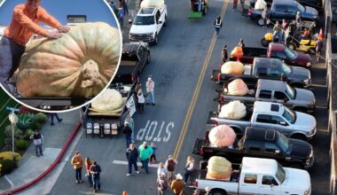 California pumpkin contest awards $21K to Minnesota grower