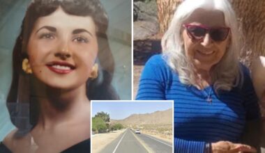 California mother, 86, dies after rushing into traffic to save pet