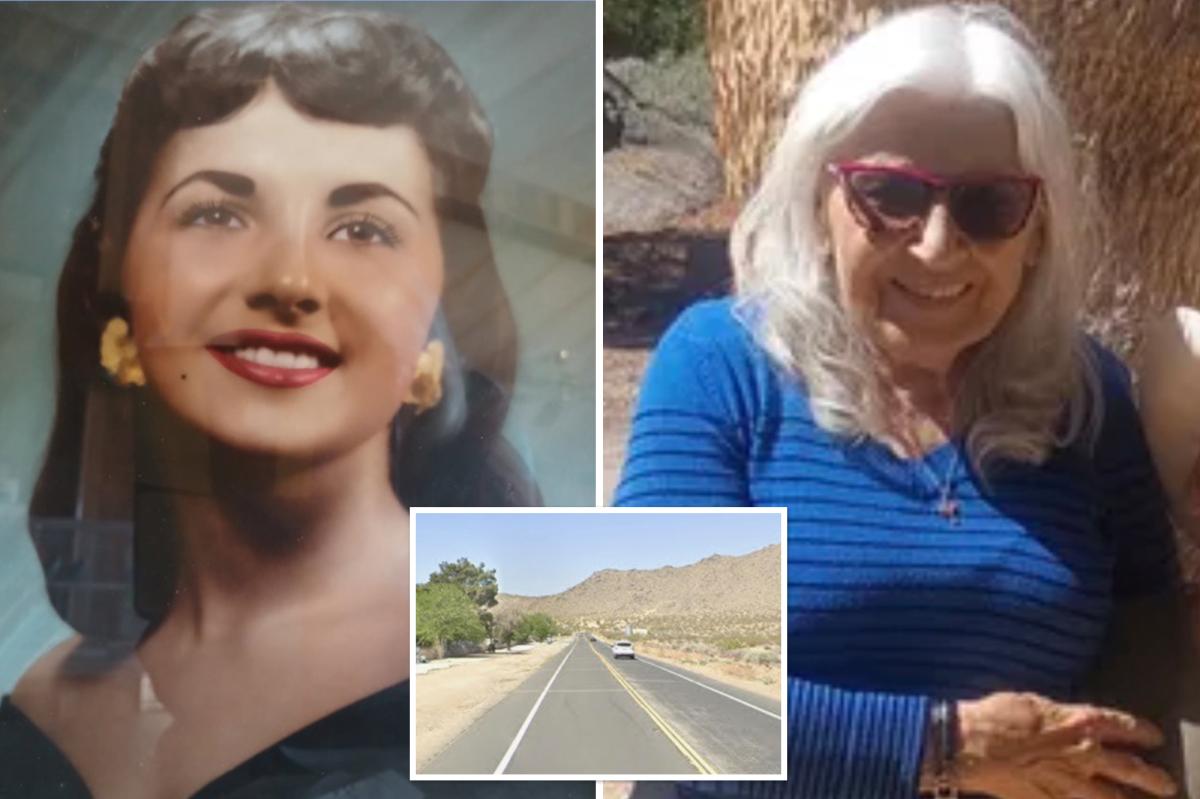California mother, 86, dies after rushing into traffic to save pet