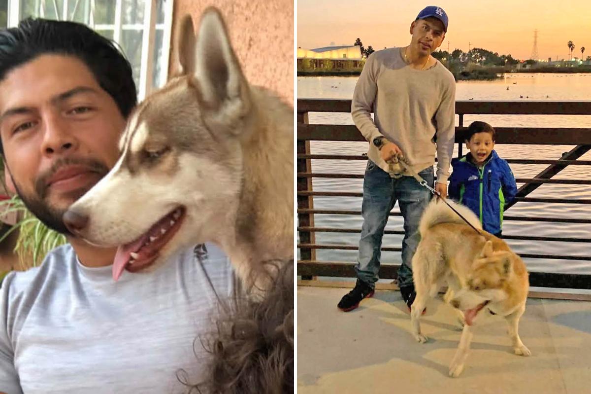 LA family mourns husky found hanged outside Lynwood laundromat