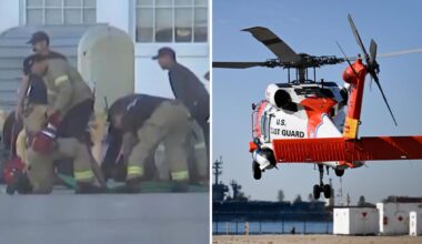 California Coast shark attack details emerge after migrant smuggling attempt