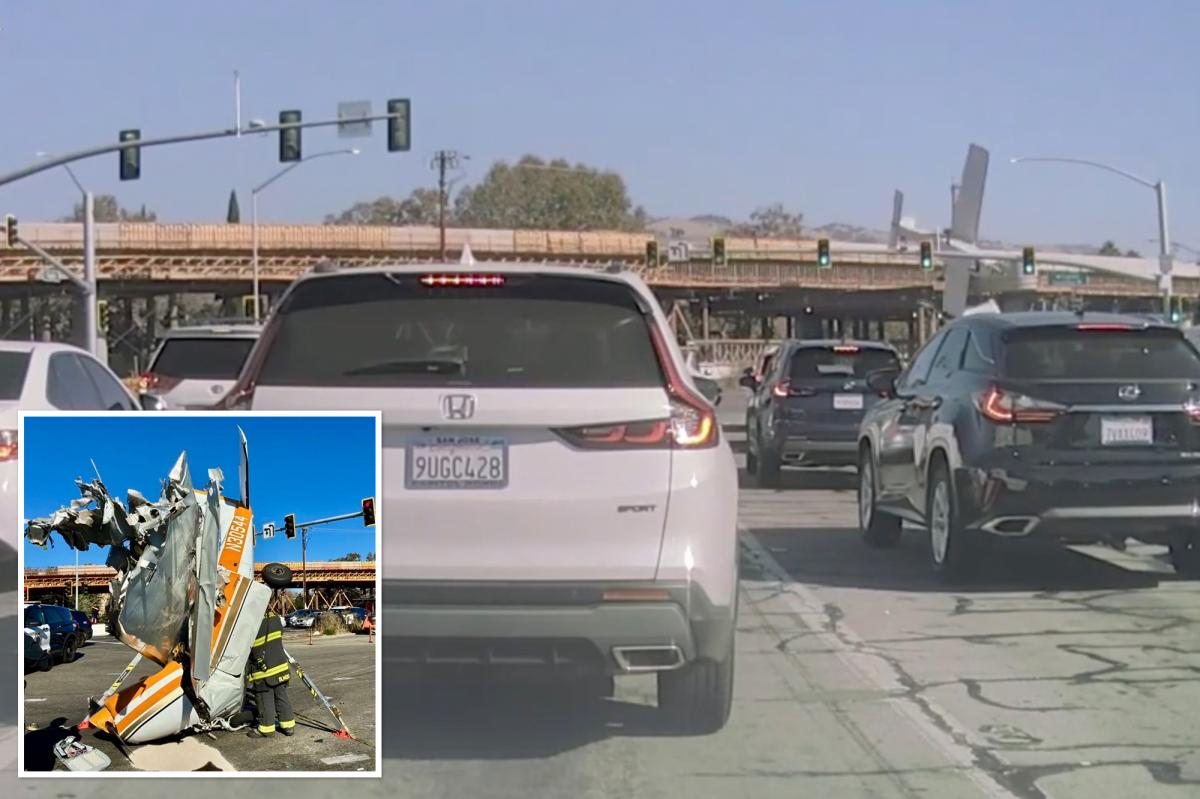 Dashcam video captures horrific San Jose highway plane crash