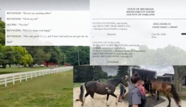 Milford horse stable owner files lawsuit against Oakland County for ‘unlawful’ search and seizure