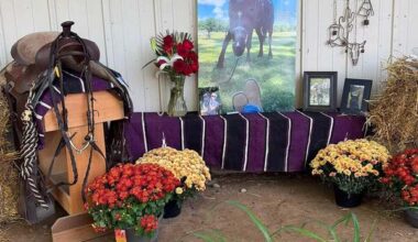 WHMI 93.5 Local News : Owner of High Vibe Trail Rides Sues Oakland Co, Animal Control Officers, Howell Rescue