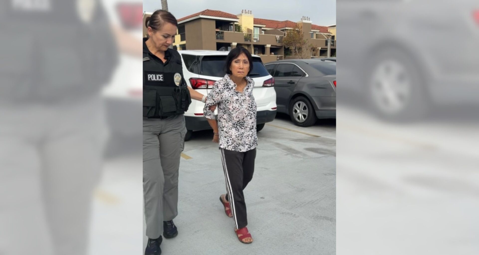 Anaheim woman charged with felony animal cruelty after allegedly killing puppy by driving her van over it – San Gabriel Valley Tribune