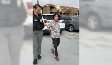 Anaheim woman charged with felony animal cruelty after allegedly killing puppy by driving her van over it – San Gabriel Valley Tribune