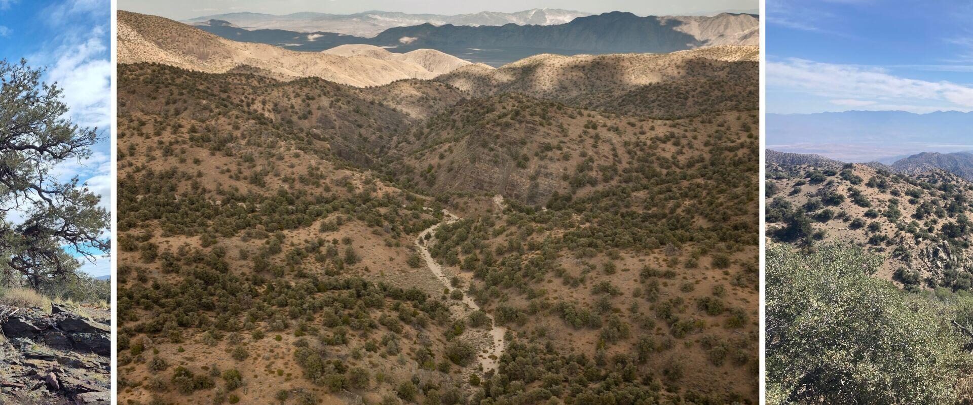 A composite image showing a dry creekbed winding through scrub-covered arid foothills and shallow canyons toward layered mountain ranges on the horizon.