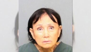 Woman who ran over puppy with minivan arrested, Santa Ana police say – The Virginian-Pilot
