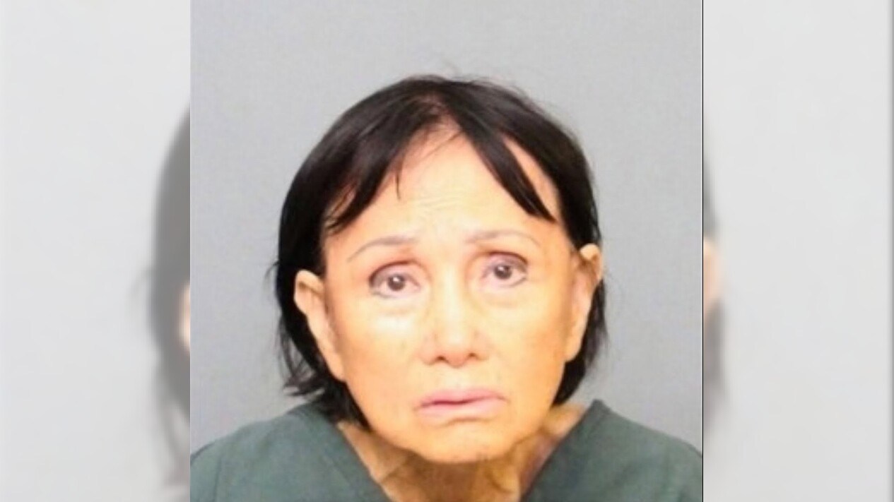 Woman who ran over puppy with minivan arrested, Santa Ana police say – The Virginian-Pilot