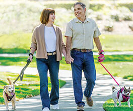 Kidney transplant patient Karen Patterson, left, and her husband Greg Patterson walk their dogs at a park.
