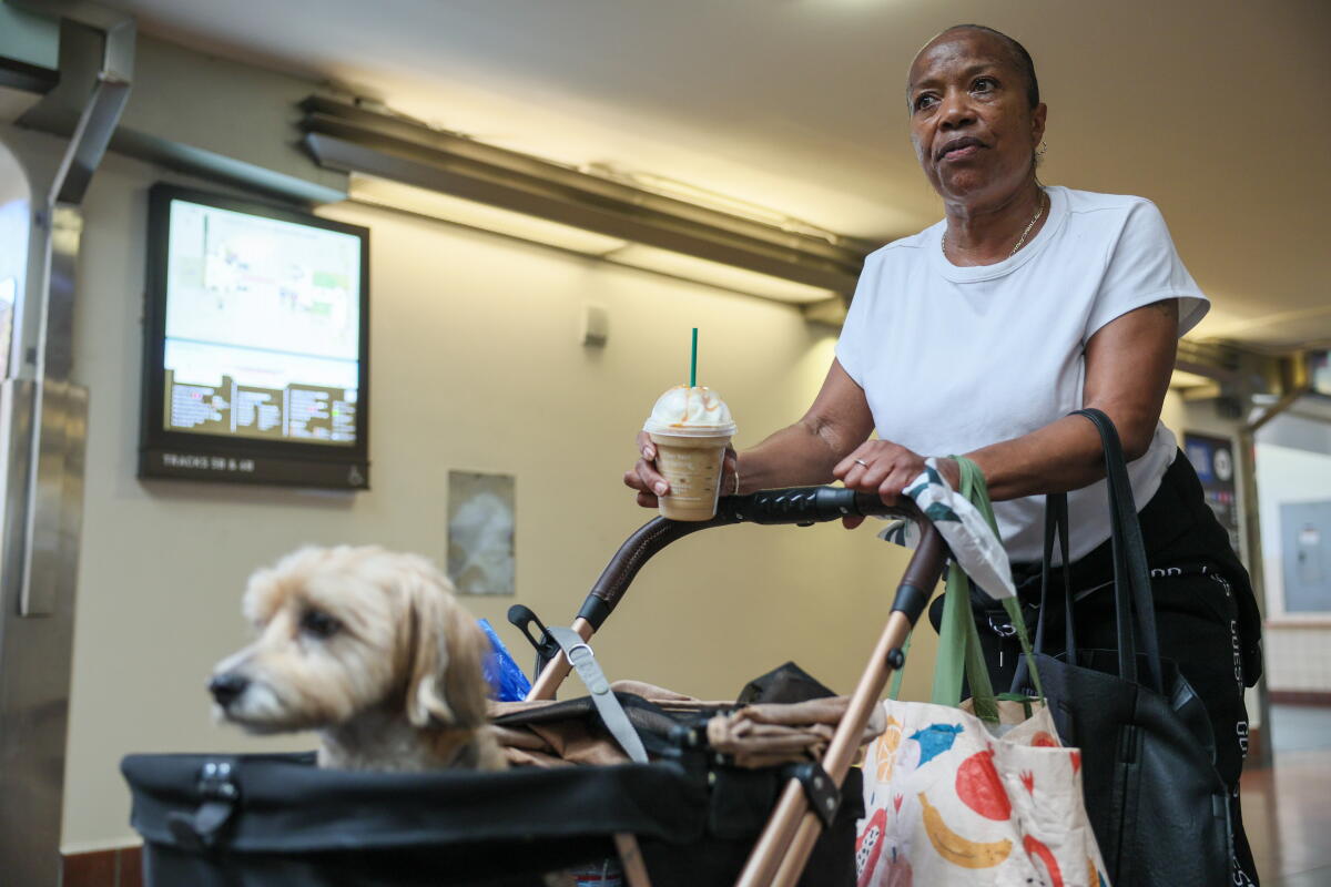 A woman in a white T-shirt and carrying a Starbucks drink pushes a stroller with a small tan dog.