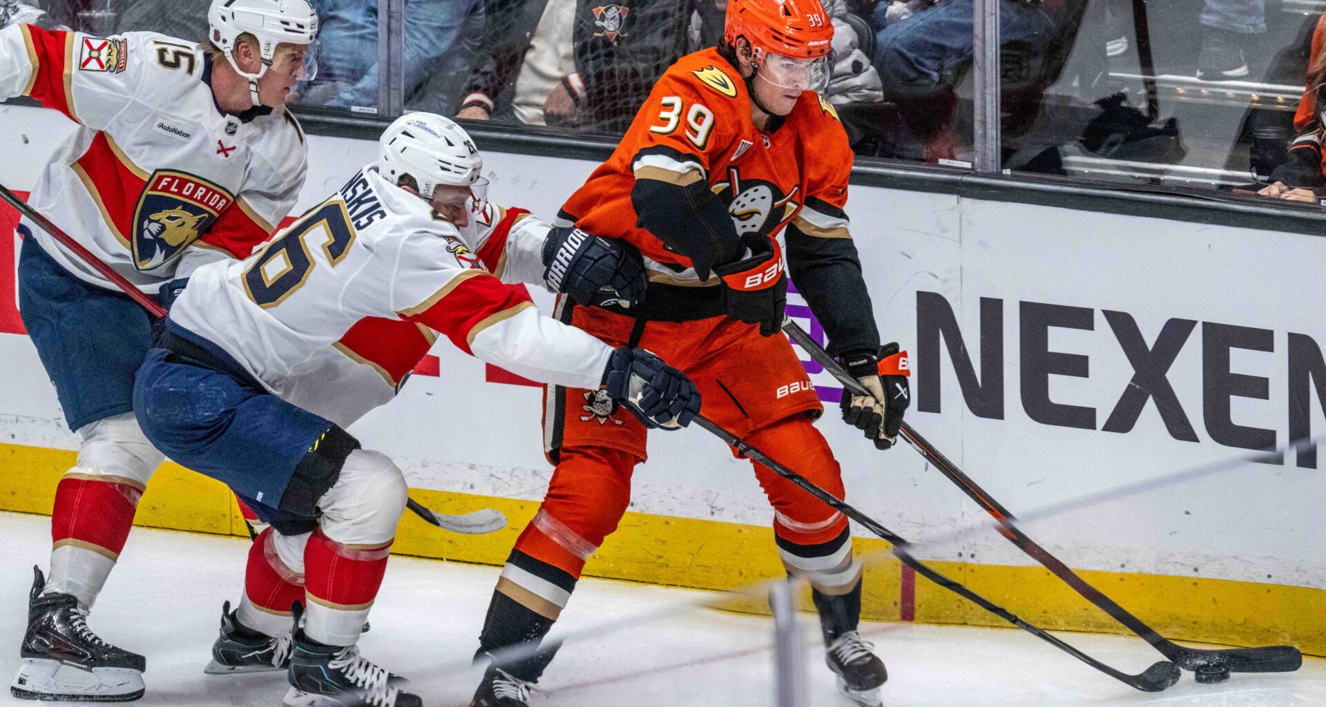 Ducks edge Panthers in overtime behind Cutter Gauthier, Leo Carlsson – Press Telegram