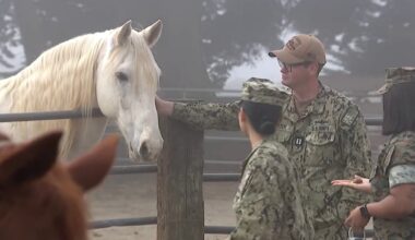 ‘Horses and Heroes’ brings new experience to SF Fleet Week – NBC Bay Area