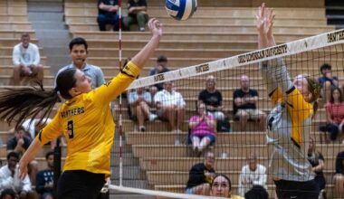 Ohio Dominican Sweeps California (Pa.), Extend Home Winning Streak to 18