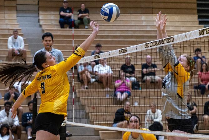 Ohio Dominican Sweeps California (Pa.), Extend Home Winning Streak to 18