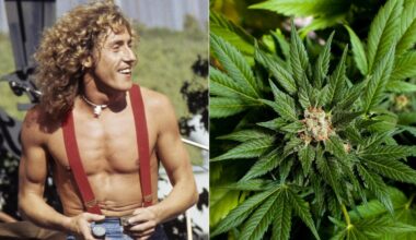 How the Who's Fans Turned a Baseball Stadium Into a Pot Farm