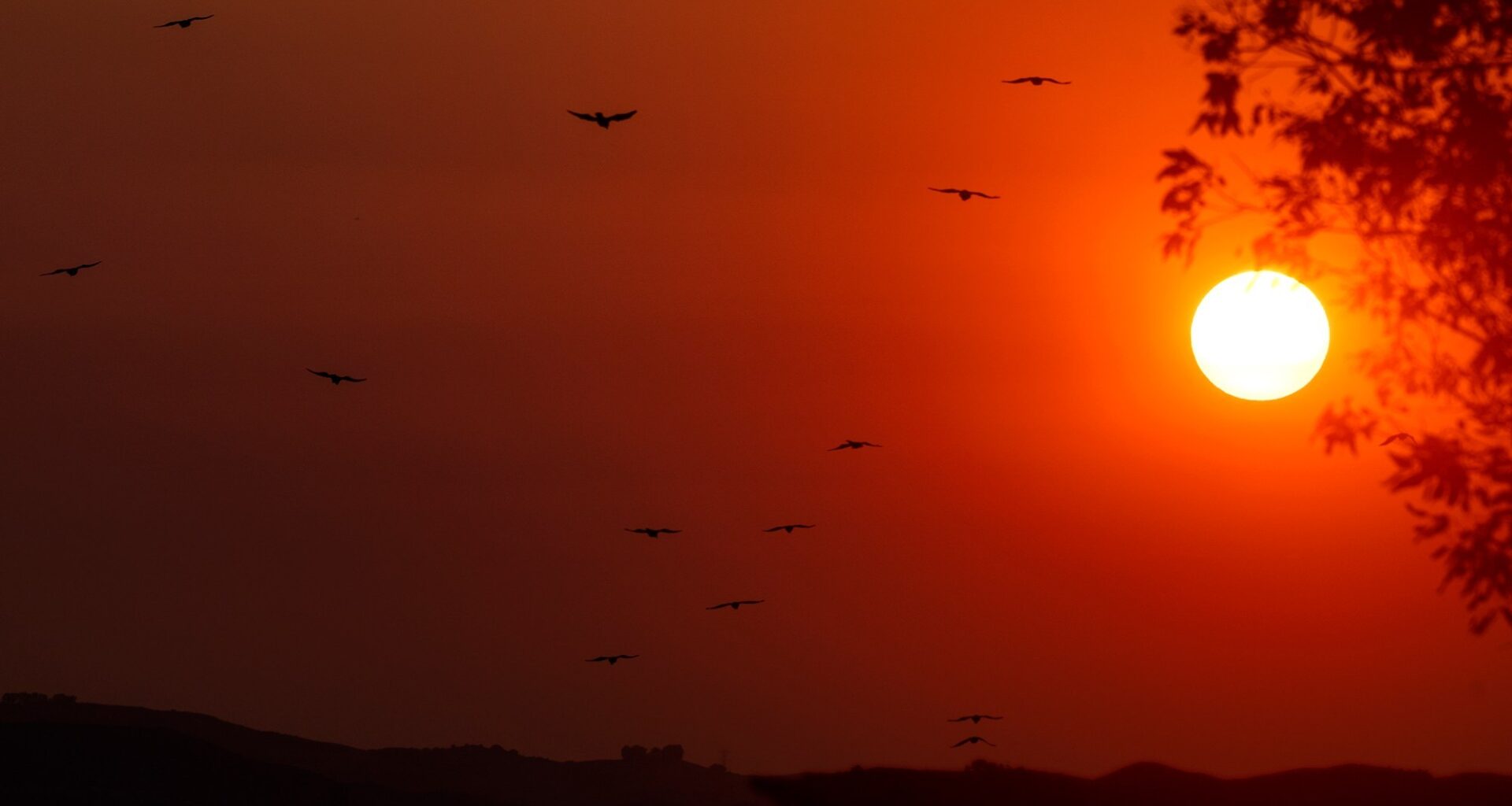 Anaheim hits 100 degrees on Tuesday, marking 4th straight day of record-breaking heat – San Gabriel Valley Tribune