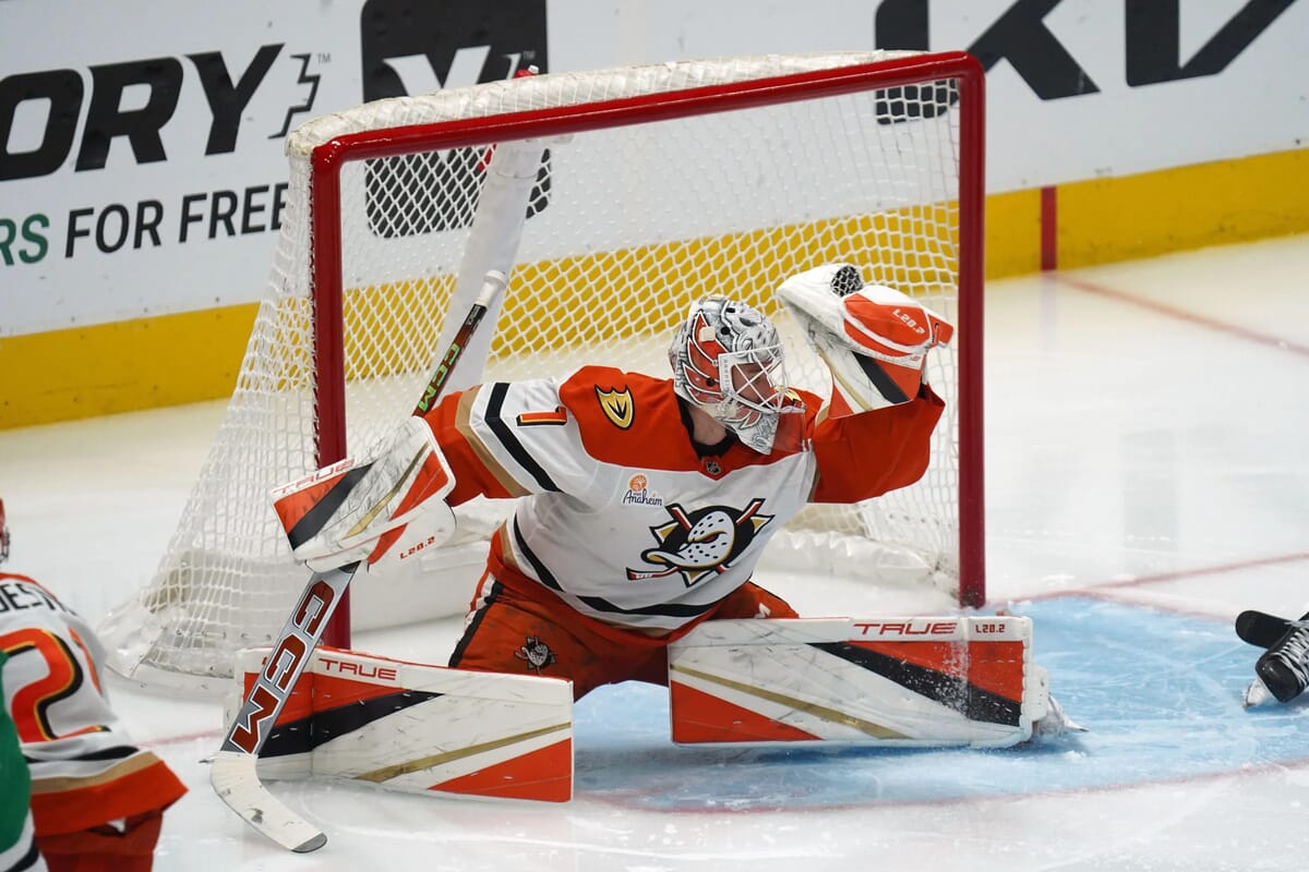Edmonton Oilers vs Anaheim Ducks Prediction, Picks & Odds