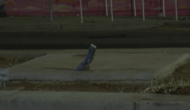 Horse statue stolen from Del Paso Boulevard in Sacramento