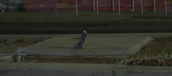 Horse statue stolen from Del Paso Boulevard in Sacramento